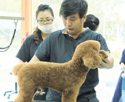 深圳寵物展
