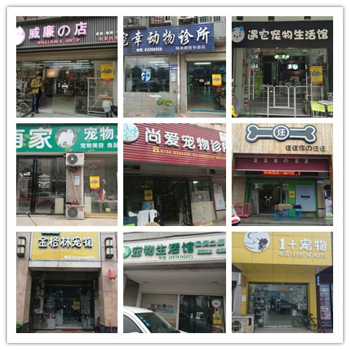 衡陽(yáng).jpg