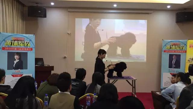 寵物皮膚疾病預防、診斷與治療