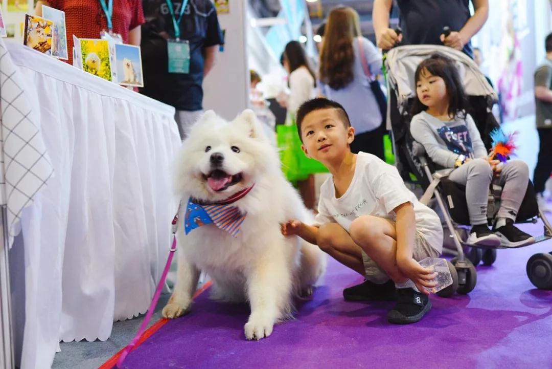 深圳秋季寵物展