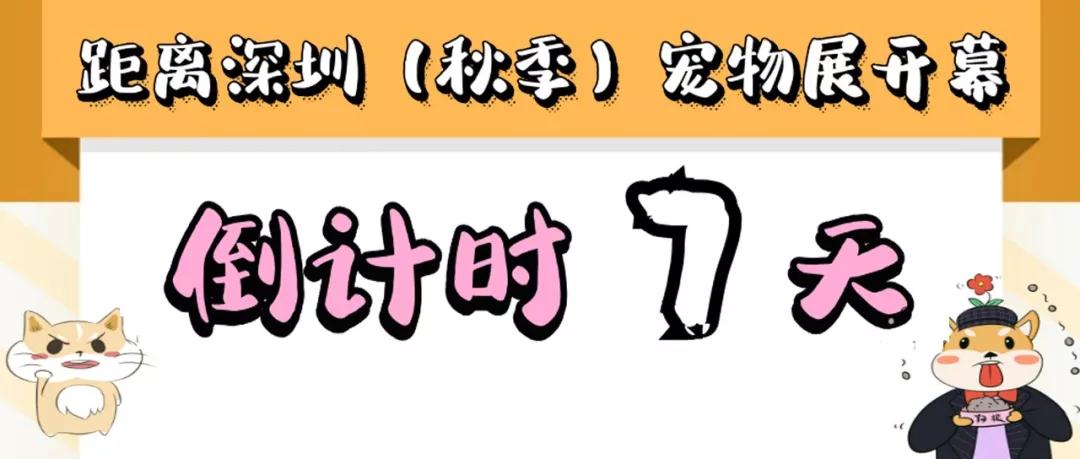 秋季深寵展倒計時7天