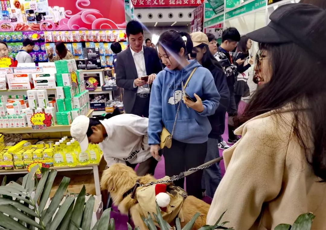 采購商選購洽談