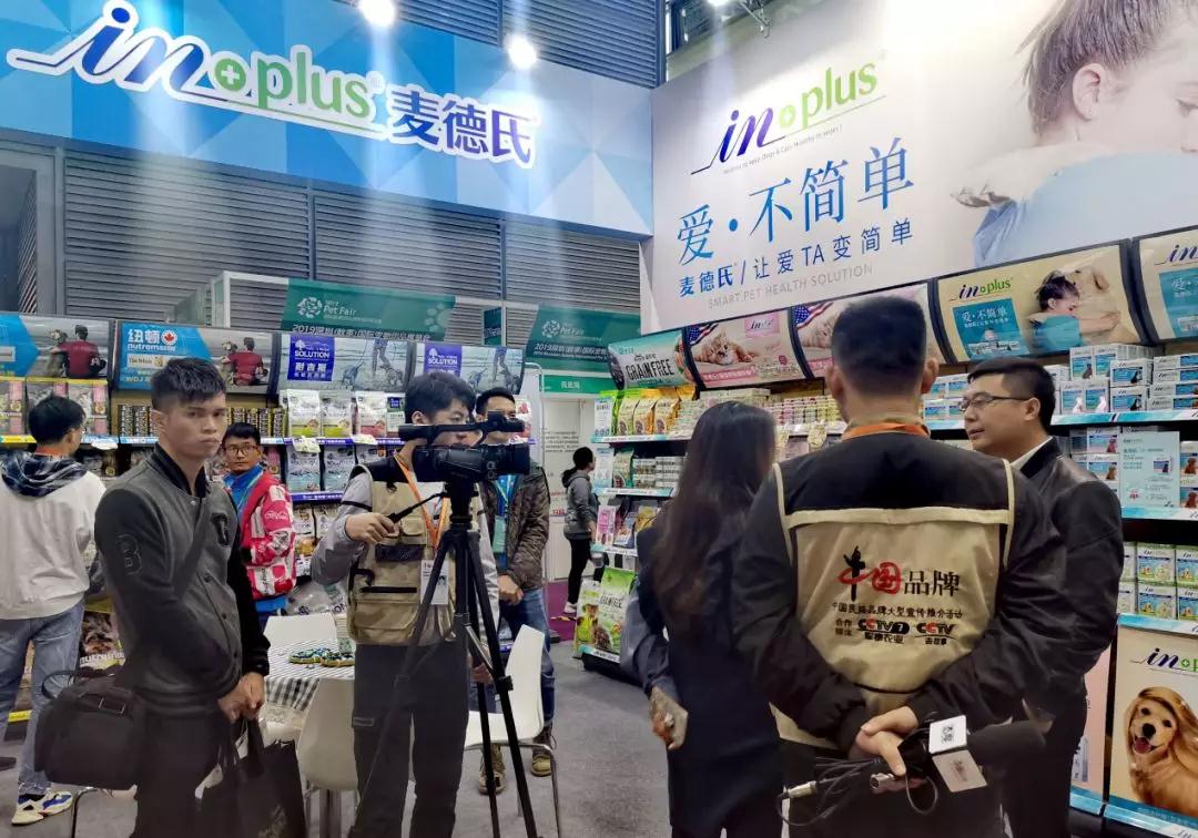 各地的寵物愛好者