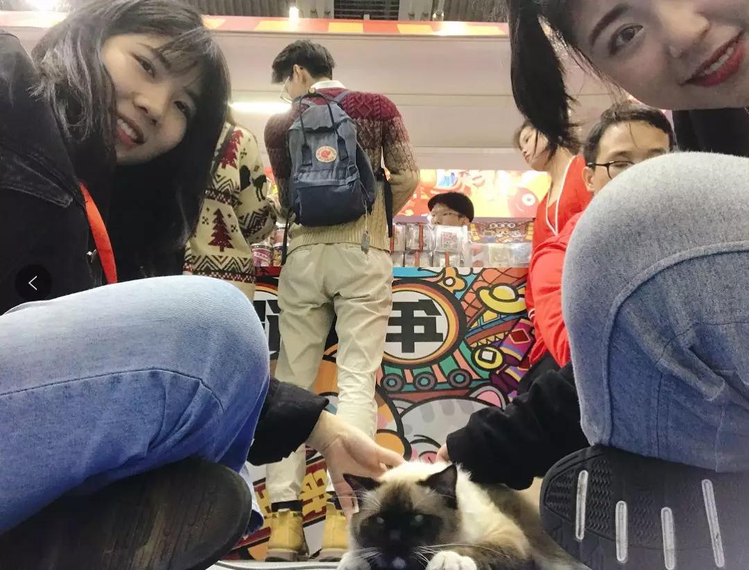 寵友互動