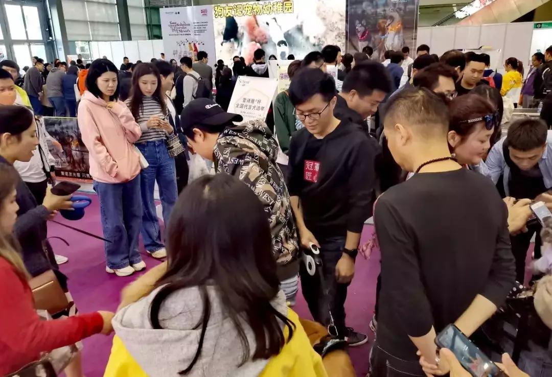 2019秋季深寵展