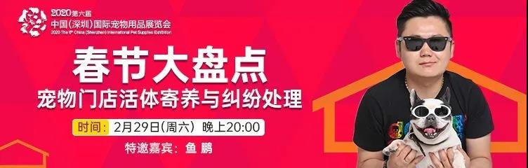 春節(jié)大盤點(diǎn)